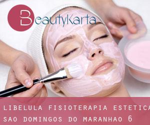 Libélula Fisioterapia Estética (São Domingos do Maranhão) #6